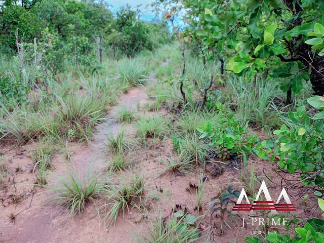 #1274 - Fazenda para Venda em Nova Brasilândia - MT - 2