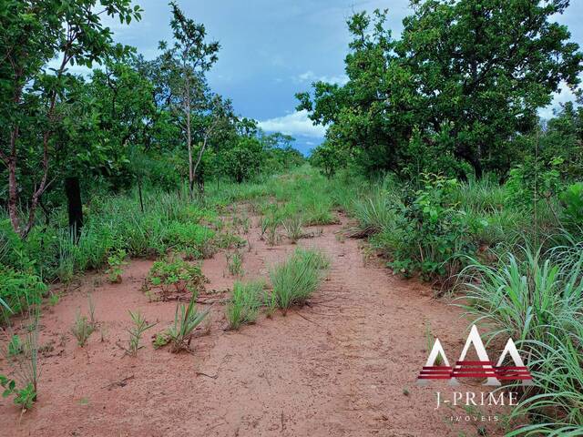#1274 - Fazenda para Venda em Nova Brasilândia - MT - 2