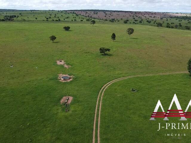 Fazenda para Venda em Rondonópolis - 4