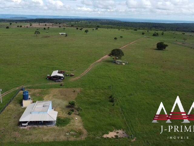 #2231 - Fazenda para Venda em Rondonópolis - MT - 1