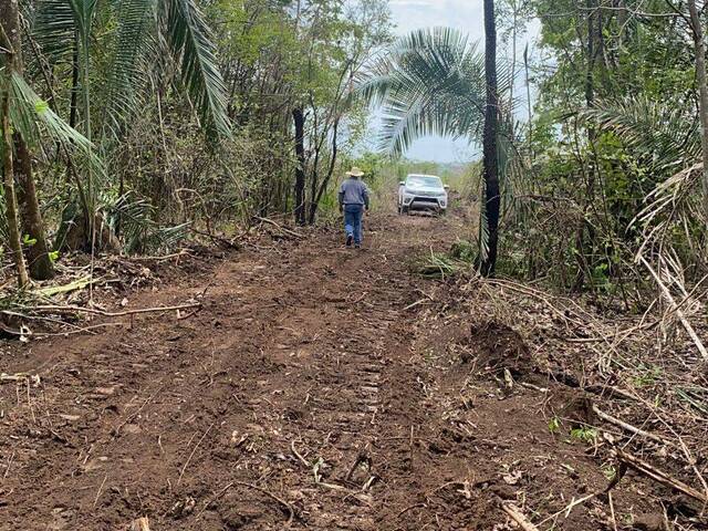 Fazenda para Venda em Jaciara - 4
