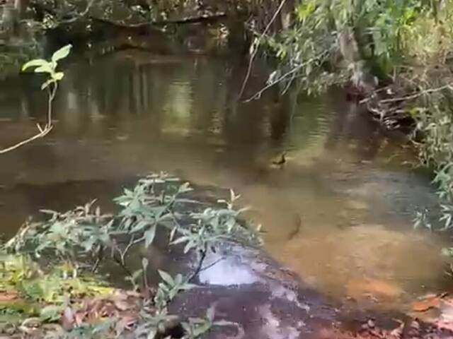 #2237 - Fazenda para Venda em Jaciara - MT - 1