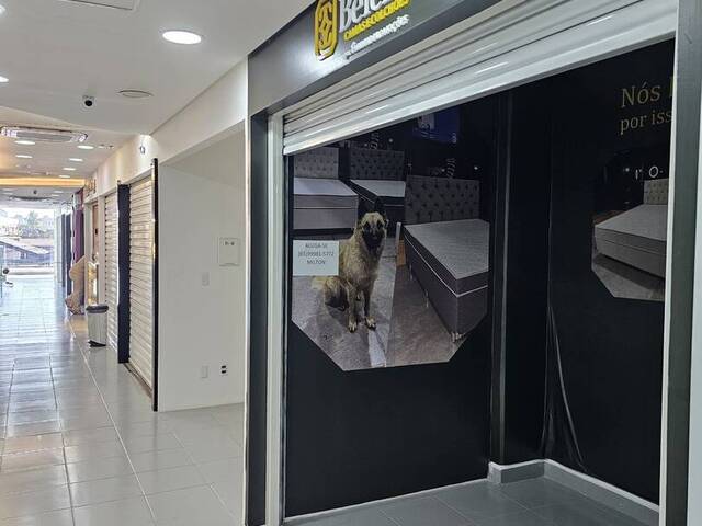 #2322 - Sala Comercial para Venda em Cuiabá - MT - 1