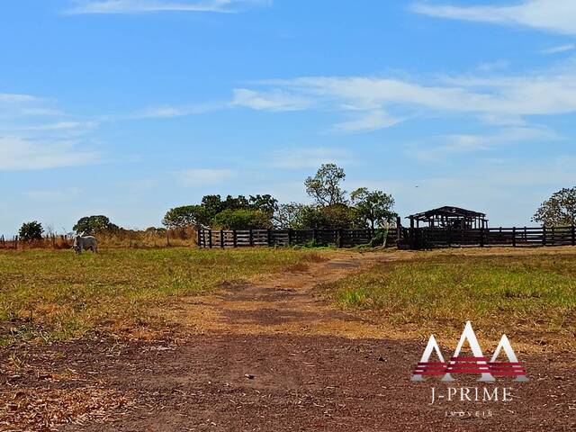 Fazenda para Venda em Jangada - 4