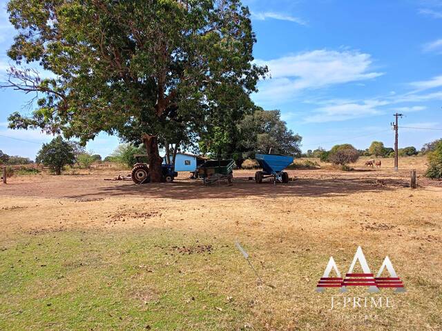 #827 - Fazenda para Venda em Jangada - MT - 3