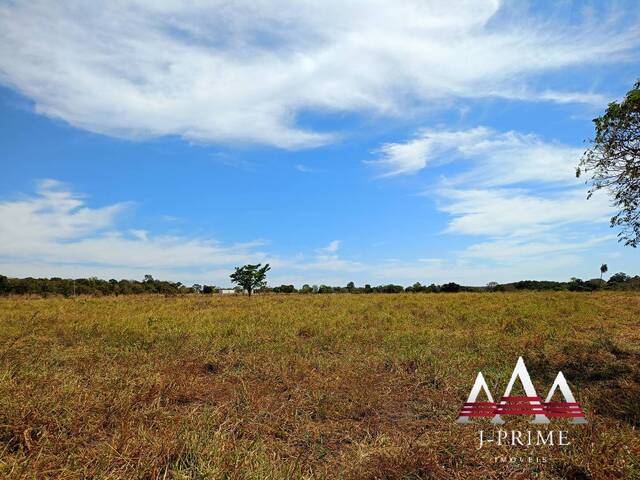 Fazenda para Venda em Jangada - 5