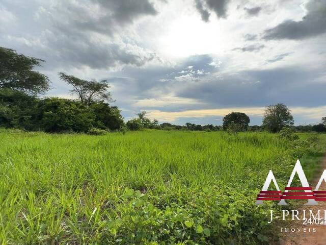 #2403 - Fazenda para Venda em Cuiabá - MT - 1