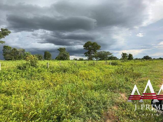 Fazenda para Venda em Cuiabá - 4