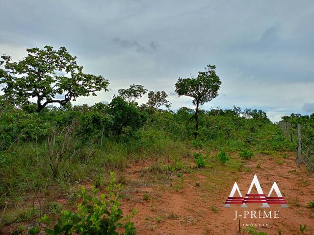#2098 - Área para Venda em Chapada dos Guimarães - MT - 1
