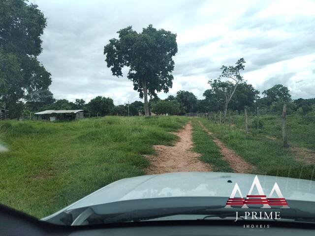 Sítio para Venda em Nossa Senhora do Livramento - 5
