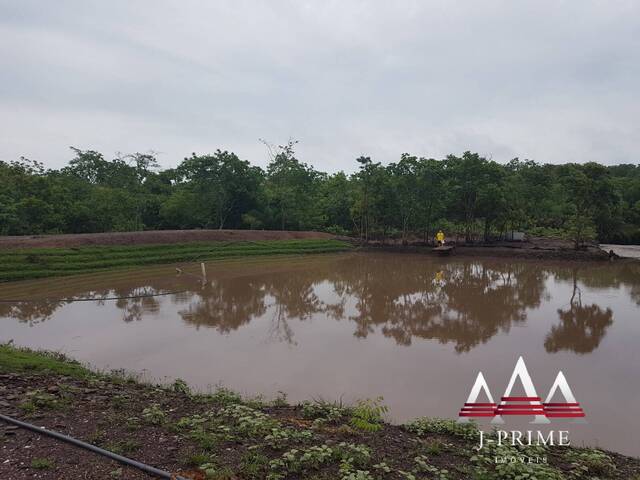 Fazenda para Venda em Acorizal - 5