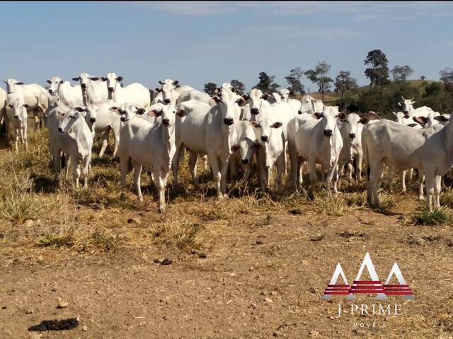 #2583 - Fazenda para Venda em Nobres - MT - 2