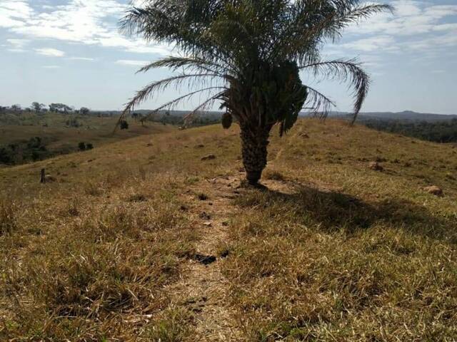 Fazenda para Venda em Nobres - 4
