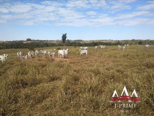 #2583 - Fazenda para Venda em Nobres - MT - 3