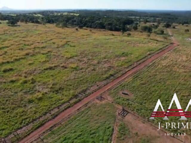 #2588 - Fazenda para Venda em Jangada - MT - 3