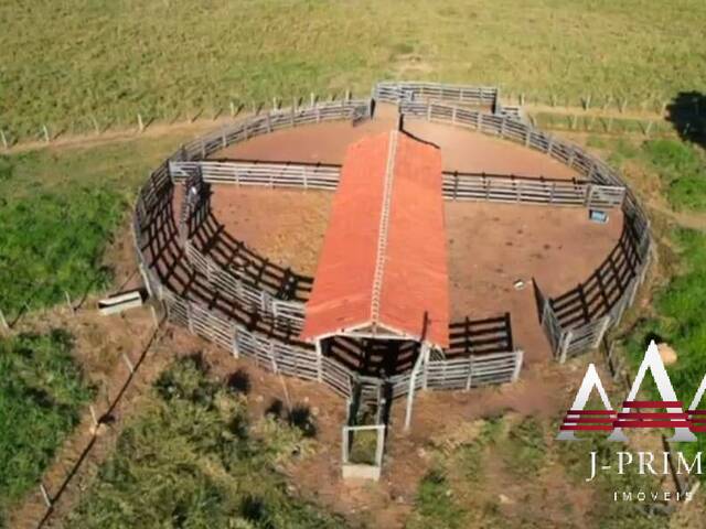 Fazenda para Venda em Jangada - 4
