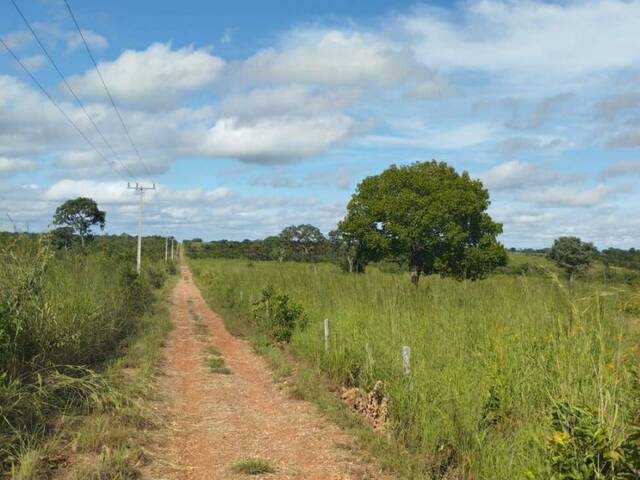 #2603 - Fazenda para Venda em Cuiabá - MT - 3