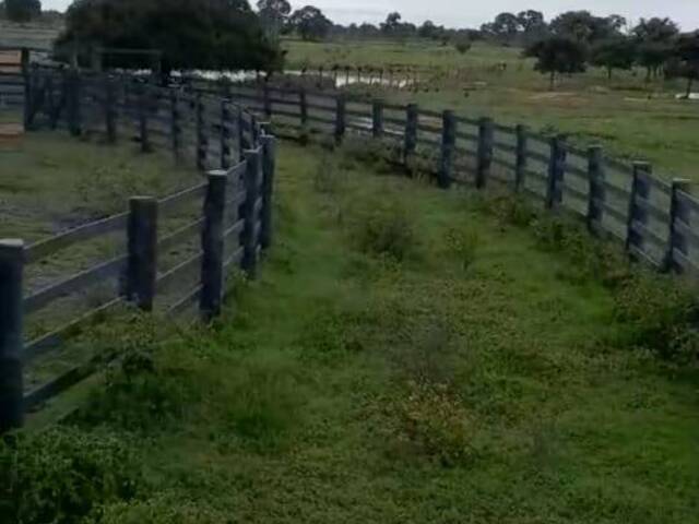 Fazenda para Venda em Poconé - 5