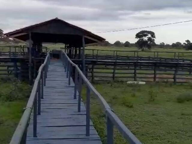 #2604 - Fazenda para Venda em Poconé - MT - 1