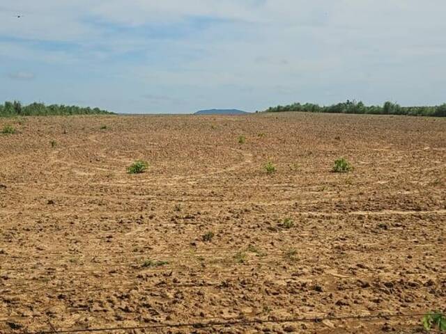 #2605 - Fazenda para Venda em Rosário Oeste - MT - 1