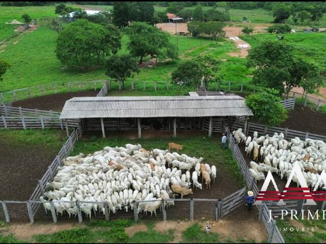 #2605 - Fazenda para Venda em Rosário Oeste - MT - 2