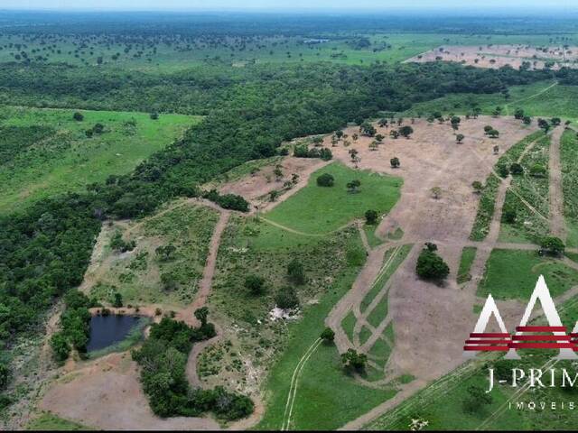 Fazenda para Venda em Nossa Senhora do Livramento - 4