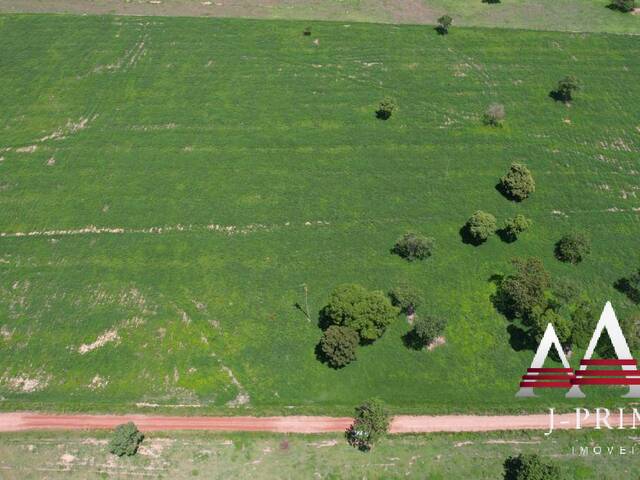 Fazenda para Venda em Glória d`Oeste - 5