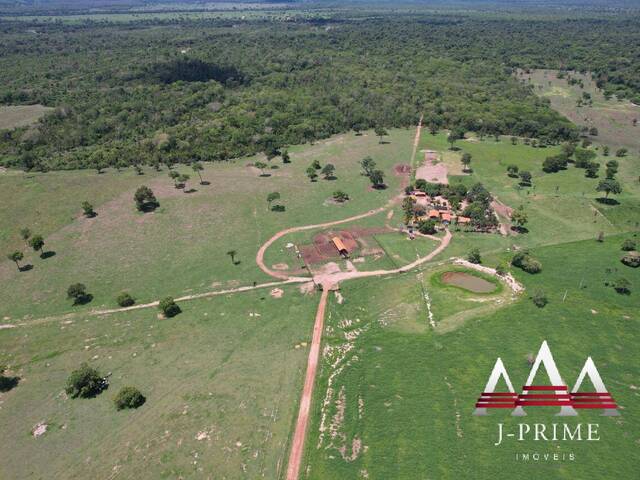 Fazenda para Venda em Glória d`Oeste - 4