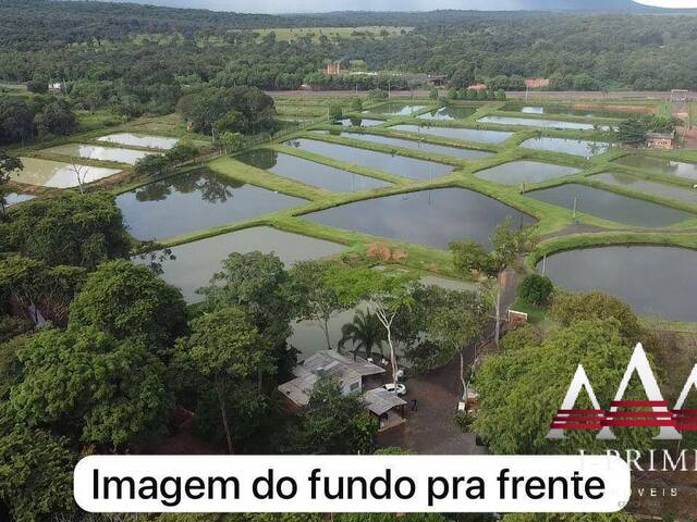 #2654 - Sítio para Venda em Nova Olímpia - MT - 3