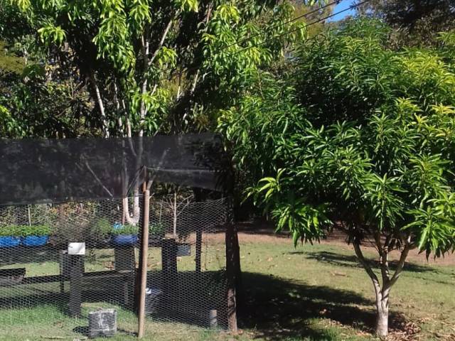 #2792 - Sítio para Venda em Chapada dos Guimarães - MT - 3