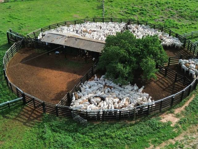 #2799 - Fazenda para Venda em Poconé - MT - 3