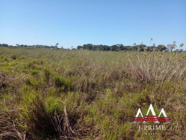 #2801 - Fazenda para Venda em Poconé - MT - 2