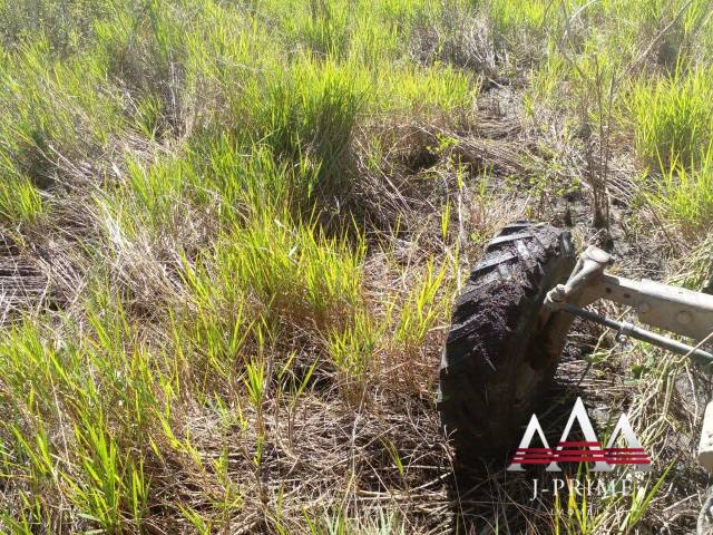 #2801 - Fazenda para Venda em Poconé - MT - 3