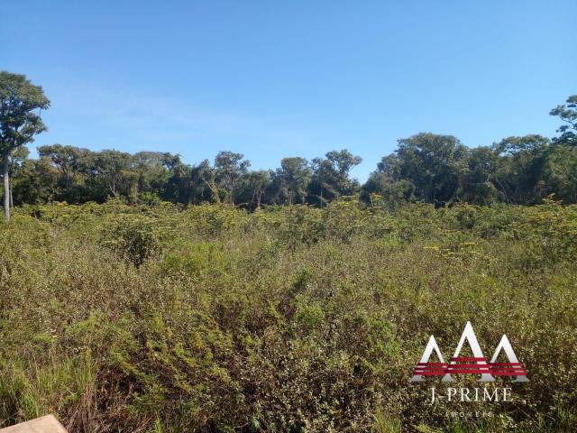 Venda em Zona Rural - Poconé