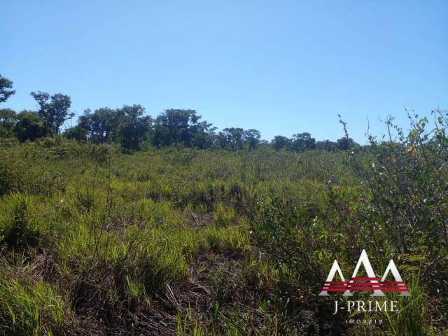 Fazenda para Venda em Poconé - 4