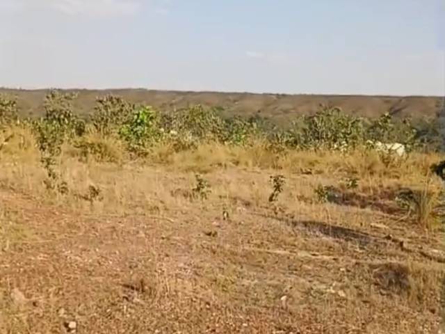 #2803 - Fazenda para Venda em Planalto da Serra - MT - 2