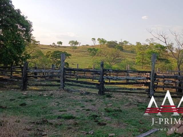 #2803 - Fazenda para Venda em Planalto da Serra - MT - 3