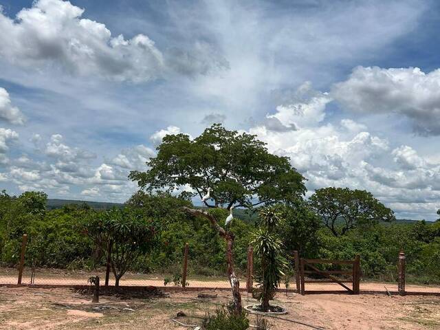 Venda em Área Rural de Cuiabá - Cuiabá