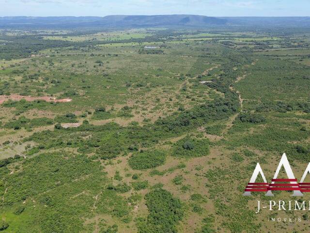 Fazenda para Venda em Rosário Oeste - 4