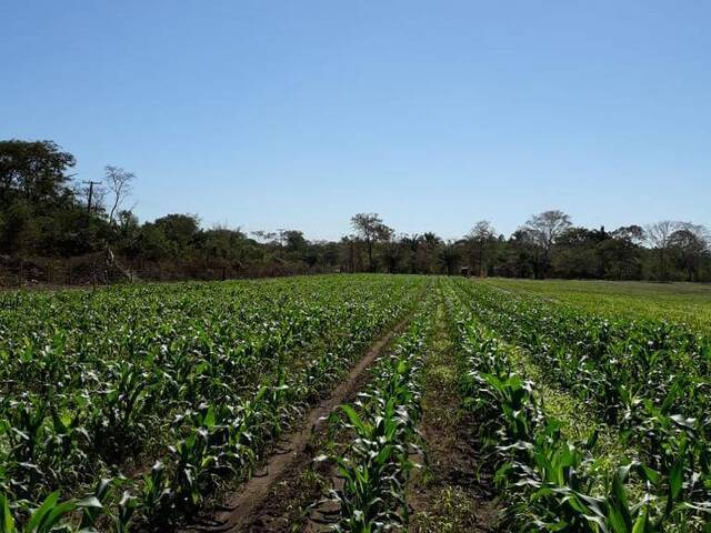 Sítio para Venda em Santo Antônio do Leverger - 2