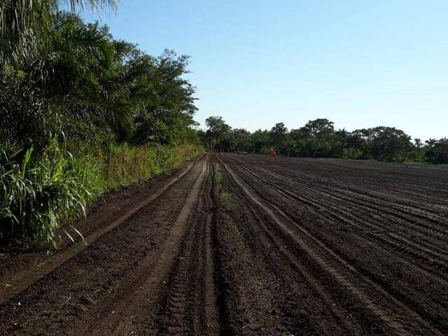 Sítio para Venda em Santo Antônio do Leverger - 5