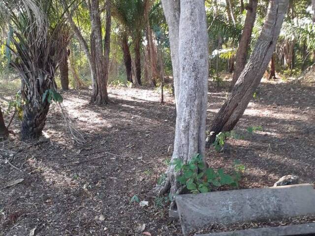 Chácara para Venda em Rosário Oeste - 2