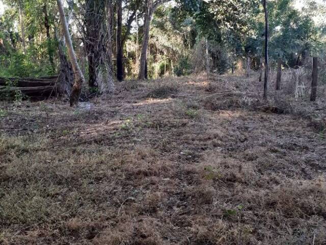 Chácara para Venda em Rosário Oeste - 4