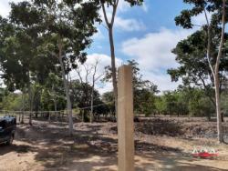 Chácara para Venda em Cuiabá - 5