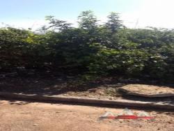 Terreno para Venda em Cuiabá - 5