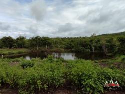 #223 - Fazenda para Venda em Acorizal - MT - 2