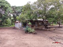 #223 - Fazenda para Venda em Acorizal - MT - 2