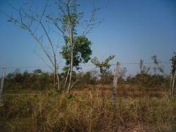 Terreno para Venda em Cuiabá - 2