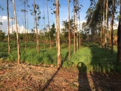 Chácara para Venda em Cuiabá - 4