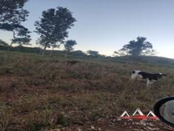 Chácara para Venda em Chapada dos Guimarães - 5